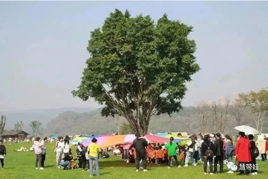 慧带娃第四届风筝节，我和春天有个约会